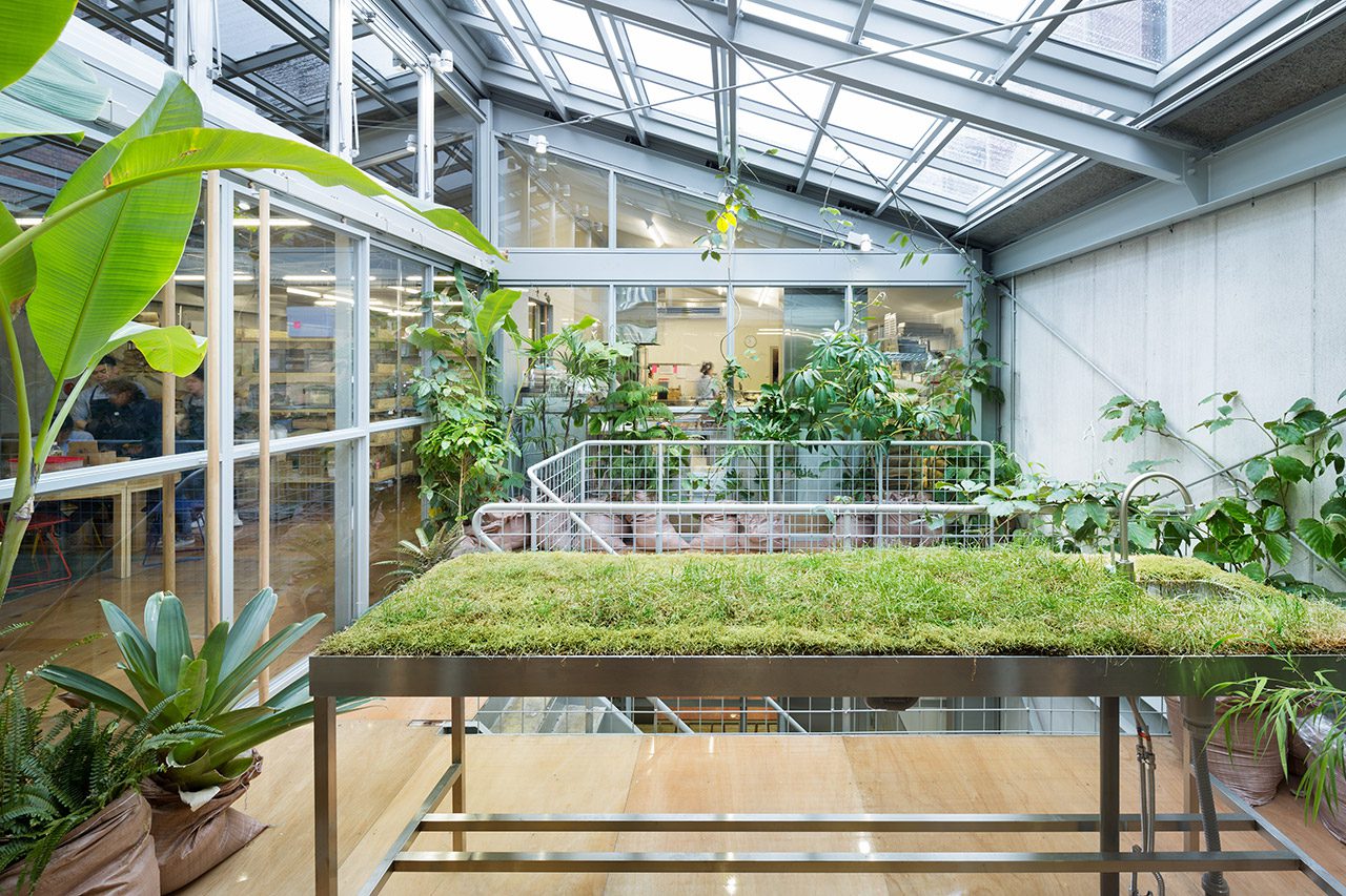 Blue Bottle Coffee Kiyosumi-Shirakawa Roastery & Cafe