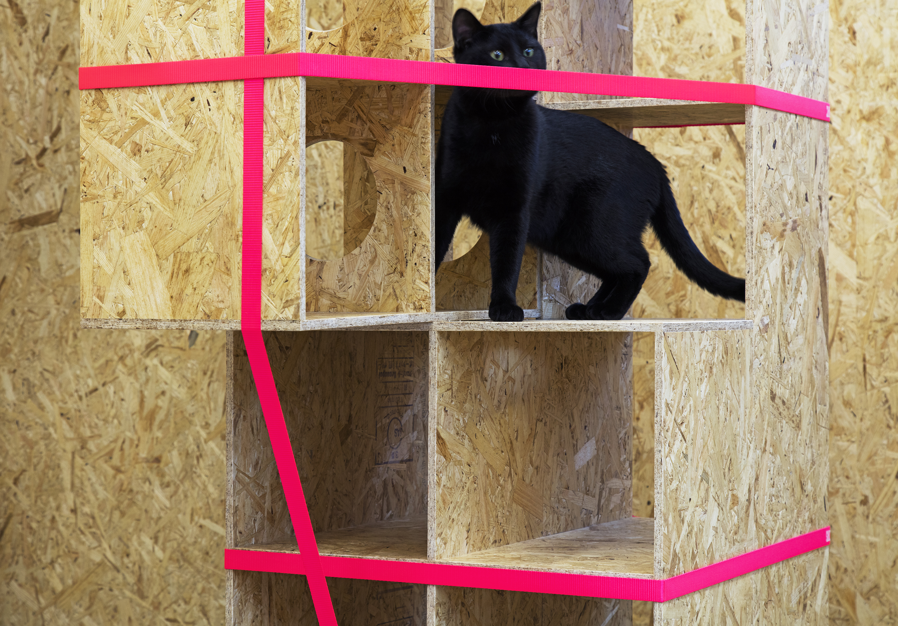 リノリウム キャットタワー 猫タワー ペット 猫家具 リノリウム